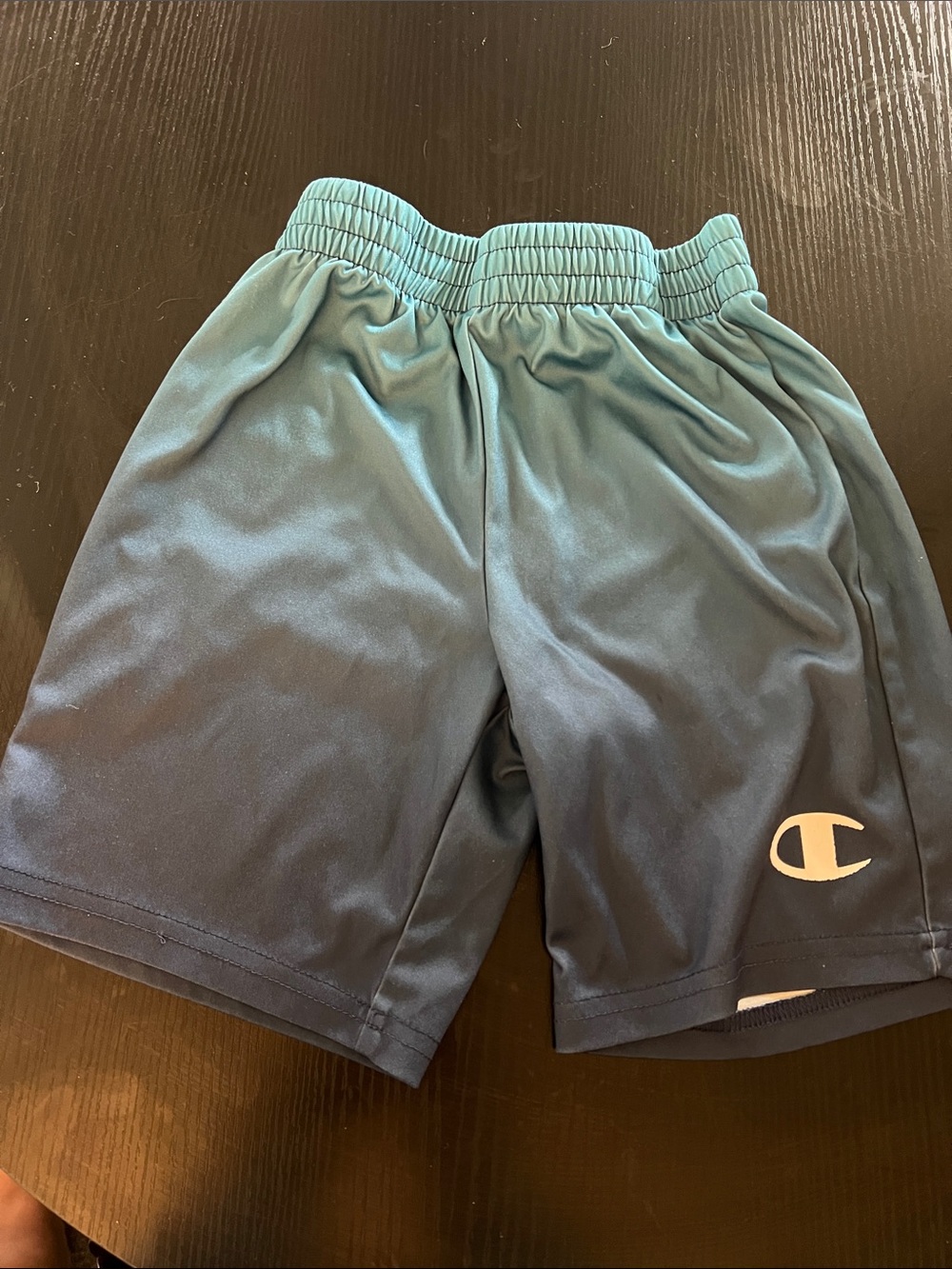 Champion Teal to Navy Gradient Athletic Shorts